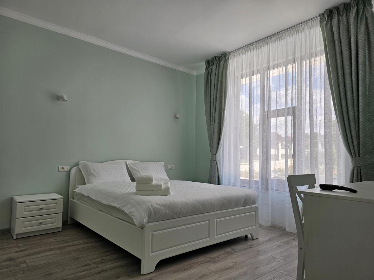 Bed and Breakfast Colt De Rai à Hîrtoape Extérieur photo